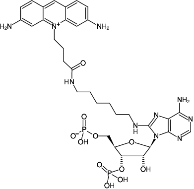 Structural formula of 8-(6-Aminohexyl)-amino-adenosine-3',5'-bisphosphate-ATTO-465 (8-(6-Aminohexyl)-amino-adenosine-3',5'-bisphosphate, labeled with ATTO 465, Triethylammonium salt)
