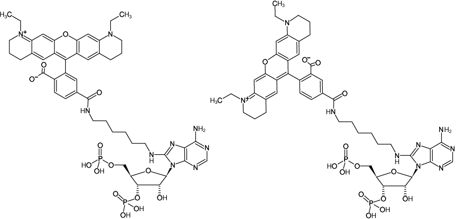 Structural formula of 8-(6-Aminohexyl)-amino-adenosine-3',5'-bisphosphate-ATTO-565 (8-(6-Aminohexyl)-amino-adenosine-3',5'-bisphosphate, labeled with ATTO 565, Triethylammonium salt)