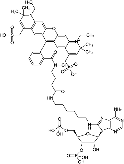 Structural formula of 8-(6-Aminohexyl)-amino-adenosine-3',5'-bisphosphate-ATTO-594 (8-(6-Aminohexyl)-amino-adenosine-3',5'-bisphosphate, labeled with ATTO 594, Triethylammonium salt)