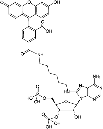 Structural formula of 8-(6-Aminohexyl)-amino-adenosine-3',5'-bisphosphate-5-FAM (8-(6-Aminohexyl)-amino-adenosine-3',5'-bisphosphate, labeled with 5 FAM, Triethylammonium salt)