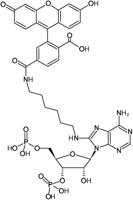 Structural formula of 8-(6-Aminohexyl)-amino-adenosine-3',5'-bisphosphate-6-FAM (8-(6-Aminohexyl)-amino-adenosine-3',5'-bisphosphate, labeled with 6 FAM, Triethylammonium salt)