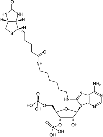 Structural formula of 8-(6-Aminohexyl)-amino-adenosine-3',5'-bisphosphate-Biotin (Triethylammonium salt)