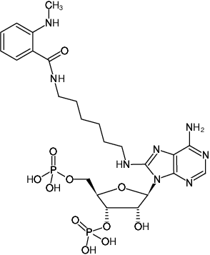 Structural formula of 8-(6-Aminohexyl)-amino-adenosine-3',5'-bisphosphate-MANT (8-(6-Aminohexyl)-amino-adenosine-3',5'-bisphosphate, labeled with MANT, Triethylammonium salt)
