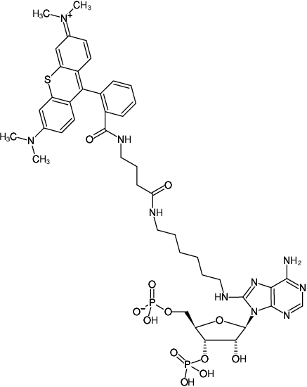 Structural formula of 8-(6-Aminohexyl)-amino-adenosine-3',5'-bisphosphate-ATTO-Thio12 (8-(6-Aminohexyl)-amino-adenosine-3',5'-bisphosphate, labeled with ATTO Thio12, Triethylammonium salt)