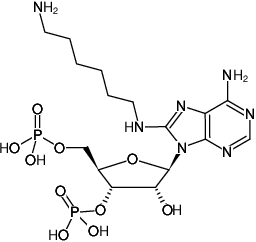 Structural formula of 8-(6-Aminohexyl)-amino-adenosine-3',5'-bisphosphate (8-(6-Aminohexyl)-amino-adenosine-3',5'-bisphosphate, Sodium salt)