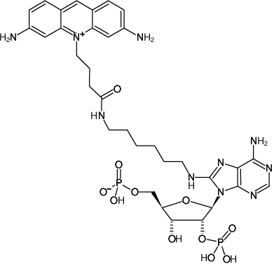 Structural formula of 8-(6-Aminohexyl)-amino-adenosine-2',5'-bisphosphate-ATTO-465 (8-(6-Aminohexyl)-amino-adenosine-2',5'-bisphosphate, labeled with ATTO 465, Triethylammonium salt)