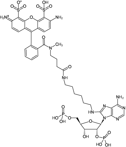 Structural formula of 8-(6-Aminohexyl)-amino-adenosine-2',5'-bisphosphate-ATTO-488 (8-(6-Aminohexyl)-amino-adenosine-2',5'-bisphosphate, labeled with ATTO 488, Triethylammonium salt)