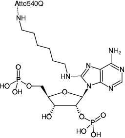 Structural formula of 8-(6-Aminohexyl)-amino-adenosine-2',5'-bisphosphate-ATTO-540Q (8-(6-Aminohexyl)-amino-adenosine-2',5'-bisphosphate, labeled with ATTO 540Q, Triethylammonium salt)