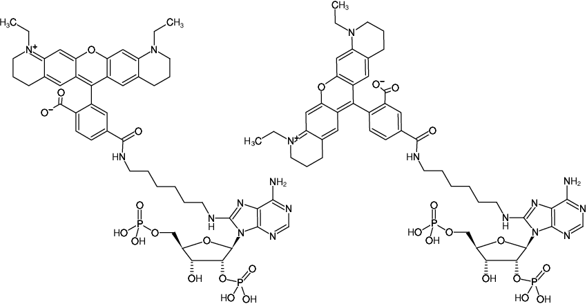 Structural formula of 8-(6-Aminohexyl)-amino-adenosine-2',5'-bisphosphate-ATTO-565 (8-(6-Aminohexyl)-amino-adenosine-2',5'-bisphosphate, labeled with ATTO 565, Triethylammonium salt)