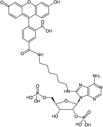Structural formula of 8-(6-Aminohexyl)-amino-adenosine-2',5'-bisphosphate-5-FAM (8-(6-Aminohexyl)-amino-adenosine-2',5'-bisphosphate, labeled with 5 FAM, Triethylammonium salt)