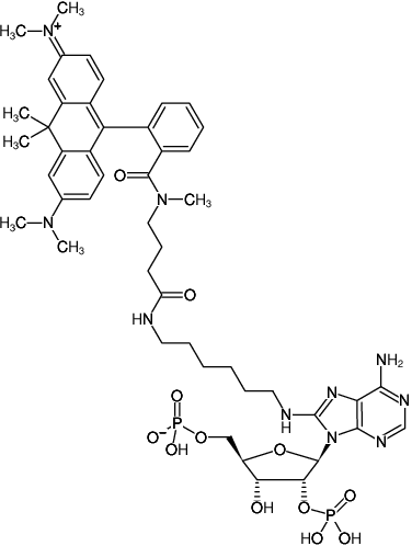 Structural formula of 8-(6-Aminohexyl)-amino-adenosine-2',5'-bisphosphate-ATTO-620 (8-(6-Aminohexyl)-amino-adenosine-2',5'-bisphosphate, labeled with ATTO 620, Triethylammonium salt)