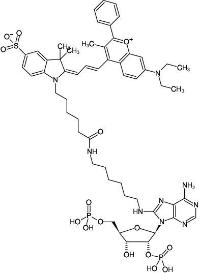 Structural formula of 8-(6-Aminohexyl)-amino-adenosine-2',5'-bisphosphate-DYQ-660 (8-(6-Aminohexyl)-amino-adenosine-2',5'-bisphosphate, labeled with DYQ 660, Triethylammonium salt)