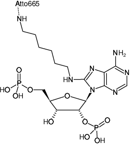 Structural formula of 8-(6-Aminohexyl)-amino-adenosine-2',5'-bisphosphate-ATTO-665 (8-(6-Aminohexyl)-amino-adenosine-2',5'-bisphosphate, labeled with ATTO 665, Triethylammonium salt)