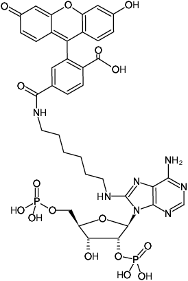 Structural formula of 8-(6-Aminohexyl)-amino-adenosine-2',5'-bisphosphate-6-FAM (8-(6-Aminohexyl)-amino-adenosine-2',5'-bisphosphate, labeled with 6 FAM, Triethylammonium salt)