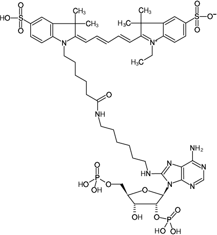 Structural formula of 8-(6-Aminohexyl)-amino-adenosine-2',5'-bisphosphate-Cy5 (8-(6-Aminohexyl)-amino-adenosine-2',5'-bisphosphate, labeled with Cy5, Triethylammonium salt)