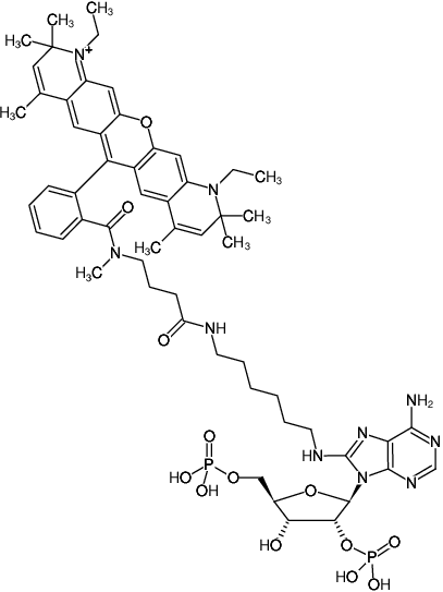 Structural formula of 8-(6-Aminohexyl)-amino-adenosine-2',5'-bisphosphate-ATTO-Rho13 (8-(6-Aminohexyl)-amino-adenosine-2',5'-bisphosphate, labeled with ATTO Rho13, Triethylammonium salt)
