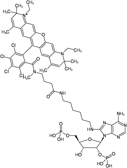 Structural formula of 8-(6-Aminohexyl)-amino-adenosine-2',5'-bisphosphate-ATTO-Rho14 (8-(6-Aminohexyl)-amino-adenosine-2',5'-bisphosphate, labeled with ATTO Rho14, Triethylammonium salt)