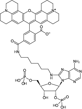 Structural formula of 8-(6-Aminohexyl)-amino-adenosine-2',5'-bisphosphate-6-ROX (8-(6-Aminohexyl)-amino-adenosine-2',5'-bisphosphate, labeled with 6-ROX, Triethylammonium salt)