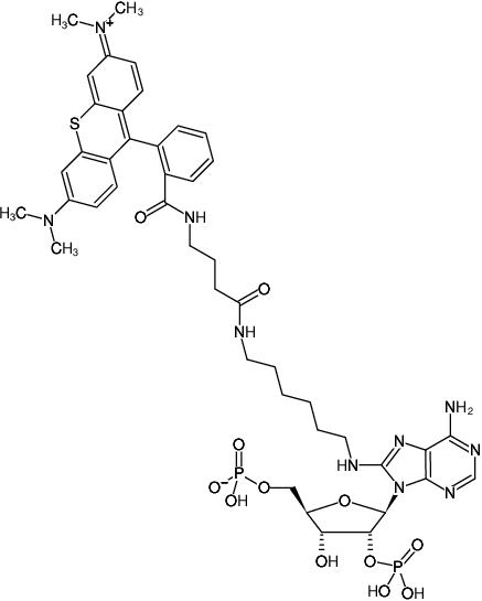 Structural formula of 8-(6-Aminohexyl)-amino-adenosine-2',5'-bisphosphate-ATTO-Thio12 (8-(6-Aminohexyl)-amino-adenosine-2',5'-bisphosphate, labeled with ATTO Thio12, Triethylammonium salt)