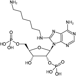 Structural formula of 8-(6-Aminohexyl)-amino-adenosine-2',5'-bisphosphate (8-(6-Aminohexyl)-amino-adenosine-2',5'-bisphosphate, Sodium salt)