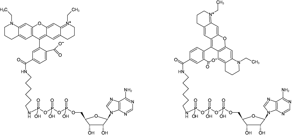 Structural formula of γ-[(6-Aminohexyl)-imido]-ATP-ATTO-565 (γ-[(6-Aminohexyl)-imido]-adenosine-5'-triphosphate, labeled with ATTO-565, Triethylammonium salt)