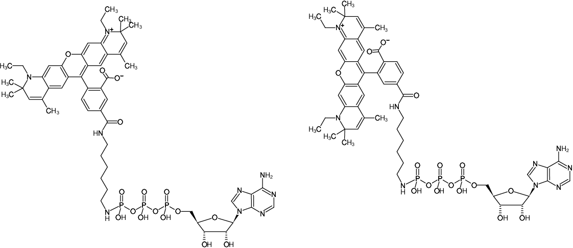 Structural formula of γ-[(6-Aminohexyl)-imido]-ATP-ATTO-590 (γ-[(6-Aminohexyl)-imido]-adenosine-5'-triphosphate, labeled with ATTO-590, Triethylammonium salt)