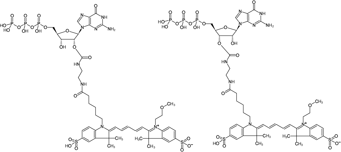Structural formula of EDA-GTP-DY-647P1 (2'/3'-O-(2-Aminoethyl-carbamoyl)-Guanosine-5'-triphosphate, labeled with DY-647P1, Triethylammonium salt)