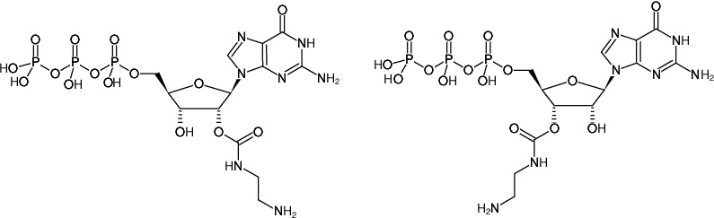Structural formula of EDA-GTP (2'/3'-O-(2-Aminoethyl-carbamoyl)-Guanosine-5'-triphosphate, Sodium salt)