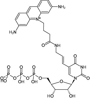 Structural formula of Aminoallyl-UTP-ATTO-465 (5-(3-Aminoallyl)-uridine-5'-triphosphate, labeled with ATTO 465, Triethylammonium salt)