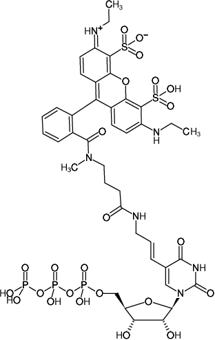 Structural formula of Aminoallyl-UTP-ATTO-532 (5-(3-Aminoallyl)-uridine-5'-triphosphate, labeled with ATTO 532, Triethylammonium salt)