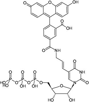 Structural formula of Aminoallyl-UTP-5-FAM (5-(3-Aminoallyl)-uridine-5'-triphosphate, labeled with 5 FAM, Triethylammonium salt)
