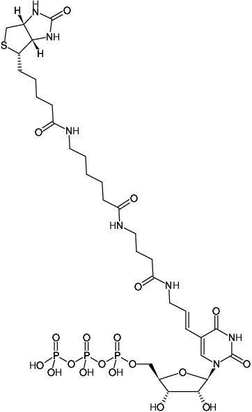 Structural formula of Biotin-16-UTP (Biotin-16-(5-aminoallyl)-UTP, Biotinyl-ε-aminocaproyl-γ-aminobutyryl-5-(3-aminoallyl)-uridine-5'-triphosphate, Triethylammonium salt)