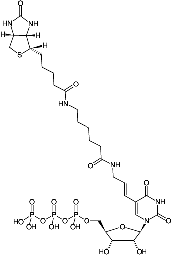 Structural formula of Biotin-11-UTP - high concentration (Biotin-X-(5-aminoallyl)-UTP, Biotin-X-(5-aminoallyl)-uridine-5'-triphosphate, Triethylammonium salt)
