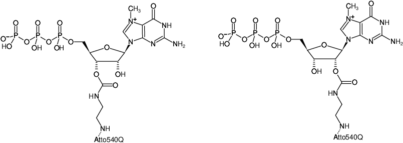 Structural formula of EDA-m7GTP-ATTO-540Q (2'/3'-O-(2-Aminoethyl-carbamoyl)-7-methyl-guanosine-5'-triphosphate, labeled with ATTO 540Q, Triethylammonium salt)