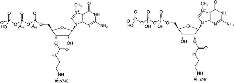 Structural formula of EDA-m7GTP-ATTO-740 (2'/3'-O-(2-Aminoethyl-carbamoyl)-7-methyl-guanosine-5'-triphosphate, labeled with ATTO 740, Triethylammonium salt)