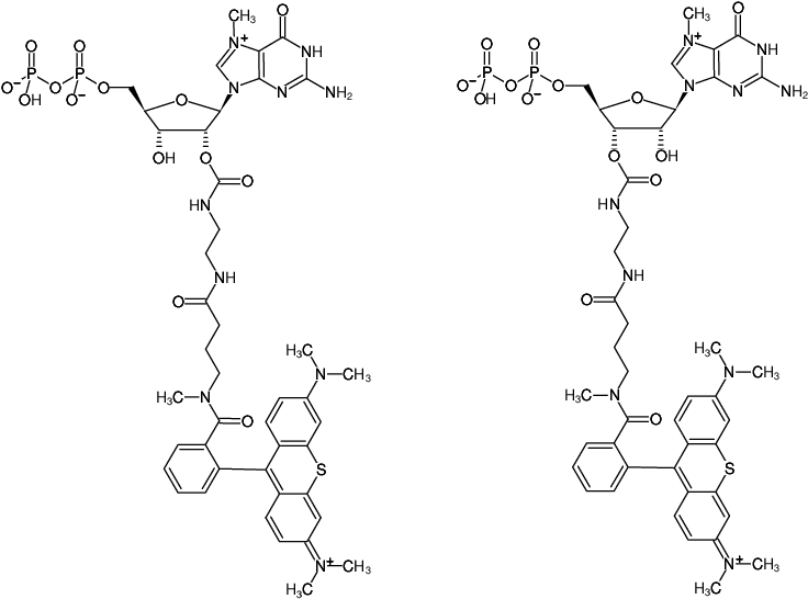Structural formula of EDA-m7GDP-ATTO-Thio12 (2'/3'-O-(2-Aminoethyl-carbamoyl)-7-methyl-guanosine-5'-diphosphate, labeled with ATTO Thio12)