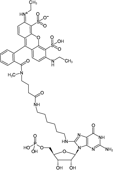 Structural formula of 8-(6-Aminohexyl)-amino-GMP-ATTO-532 (8-(6-Aminohexyl)-amino-guanosine-5'-monophosphate, labeled with ATTO 532, Triethylammonium salt)