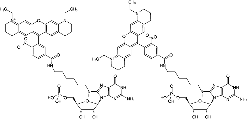 Structural formula of 8-(6-Aminohexyl)-amino-GMP-ATTO-565 (8-(6-Aminohexyl)-amino-guanosine-5'-monophosphate, labeled with ATTO 565)