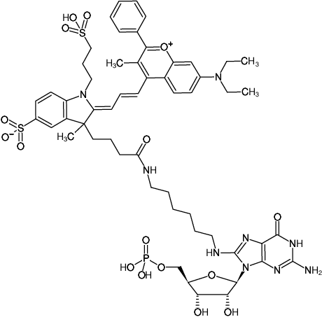 Structural formula of 8-(6-Aminohexyl)-amino-GMP-DYQ-661 (8-(6-Aminohexyl)-amino-guanosine-5'-monophosphate, labeled with DYQ 661, Triethylammonium salt)
