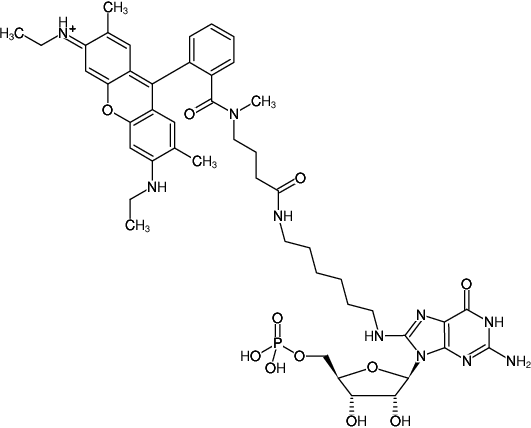 Structural formula of 8-(6-Aminohexyl)-amino-GMP-ATTO-Rho6G (8-(6-Aminohexyl)-amino-guanosine-5'-monophosphate, labeled with ATTO Rho6G, Triethylammonium salt)