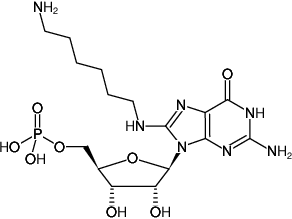 Structural formula of 8-(6-Aminohexyl)-amino-GMP (8-(6-Aminohexyl)-amino-guanosine-5'-monophosphate, Sodium salt)