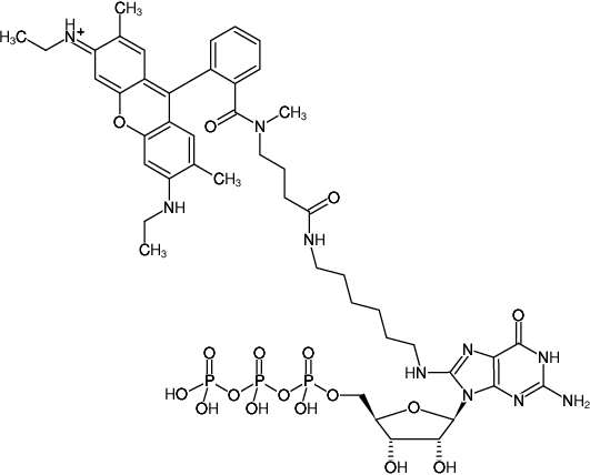 Structural formula of 8-(6-Aminohexyl)-amino-GTP-ATTO-Rho6G (8-(6-Aminohexyl)-amino-guanosine-5'-triphosphate, labeled with ATTO Rho6G, Triethylammonium salt)