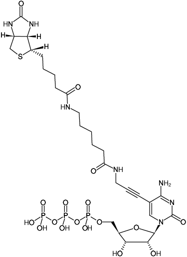 Structural formula of Biotin-11-CTP (Biotin-X-5-Propargylamino-CTP, γ-[N-(Biotin-6-amino-hexanoyl)]-5-propargylamino-cytidine-5'-triphosphate, Triethylammonium salt)
