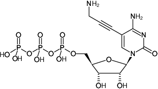 Structural formula of 5-Propargylamino-CTP (5-Propargylamino-cytidine-5'-triphosphate, Sodium salt)