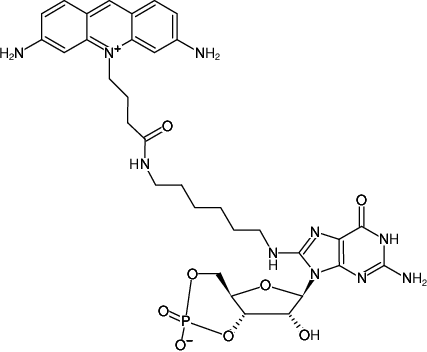 Structural formula of 8-(6-Aminohexyl)-amino-cGMP-ATTO-465 (8-(6-Aminohexyl)-amino-guanosine-3',5'-cyclic monophosphate, labeled with ATTO 465)