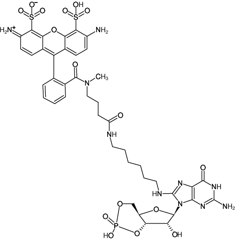 Structural formula of 8-(6-Aminohexyl)-amino-cGMP-ATTO-488 (8-(6-Aminohexyl)-amino-guanosine-3',5'-cyclic monophosphate, labeled with ATTO 488, Triethylammonium salt)
