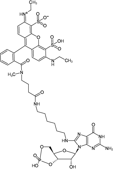 Structural formula of 8-(6-Aminohexyl)-amino-cGMP-ATTO-532 (8-(6-Aminohexyl)-amino-guanosine-3',5'-cyclic monophosphate, labeled with ATTO 532, Triethylammonium salt)