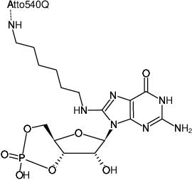 Structural formula of 8-(6-Aminohexyl)-amino-cGMP-ATTO-540Q (8-(6-Aminohexyl)-amino-guanosine-3',5'-cyclic monophosphate, labeled with ATTO 540Q, Triethylammonium salt)