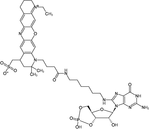 Structural formula of 8-(6-Aminohexyl)-amino-cGMP-ATTO-655 (8-(6-Aminohexyl)-amino-guanosine-3',5'-cyclic monophosphate, labeled with ATTO 655, Triethylammonium salt)