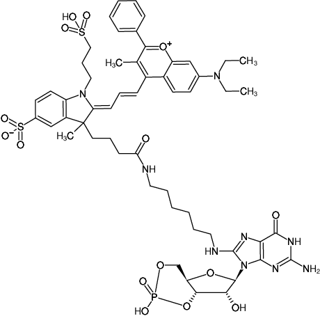 Structural formula of 8-(6-Aminohexyl)-amino-cGMP-DYQ-661 (8-(6-Aminohexyl)-amino-guanosine-3',5'-cyclic monophosphate, labeled with DYQ 661, Triethylammonium salt)